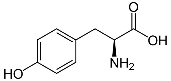 L-Tyrosine vs N-Acetyl-L-Tyrosine NALT