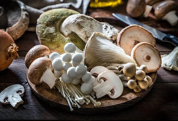 Best mushroom supplements
