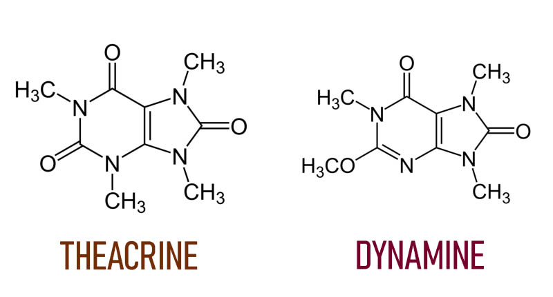 Dynamine Teacrine structures