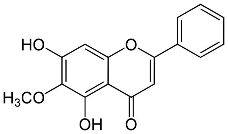 Oroxylin A